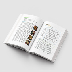 NEXUS 4